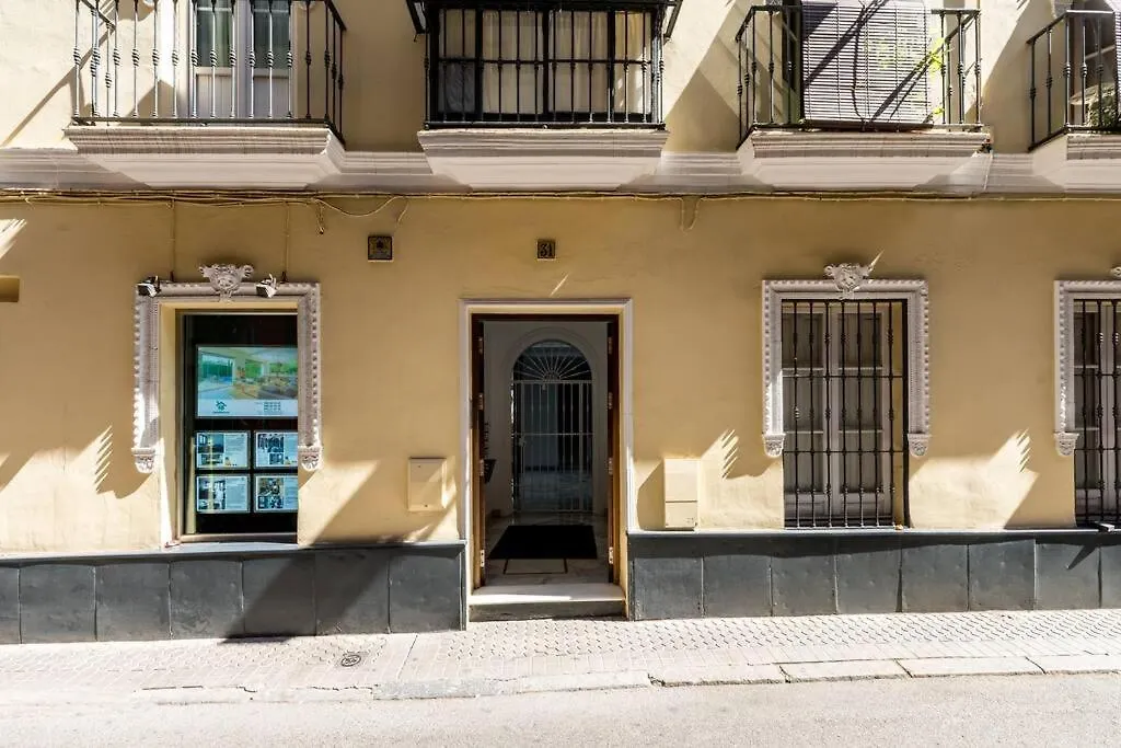 Behouse Alfalfa Seville Spain